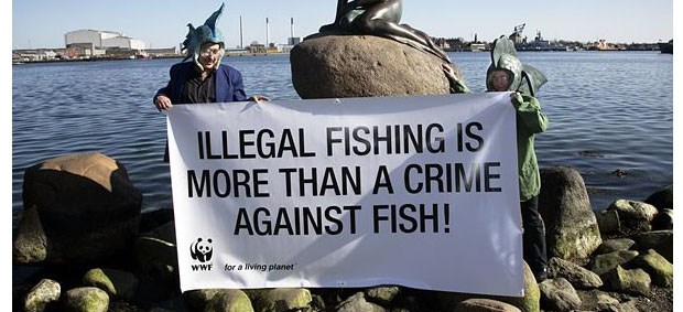 illegal-fishing-wwf-featured